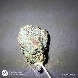 Michigan Native Copper Mineral Specimen Collectors Collection